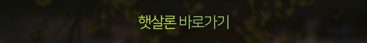 정부지원대출
